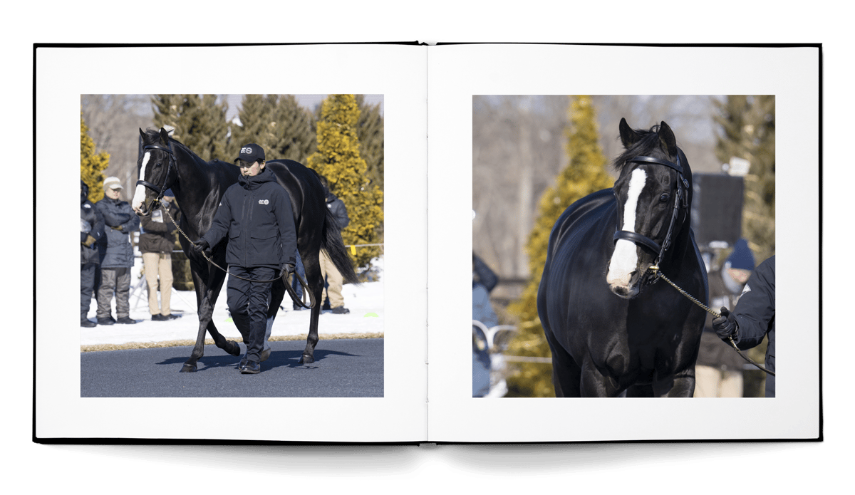 写真集】THE EQUINOX | CANTER COLLECTION ONLINESHOP