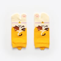 たびりらキッズ#3靴下　ネコ