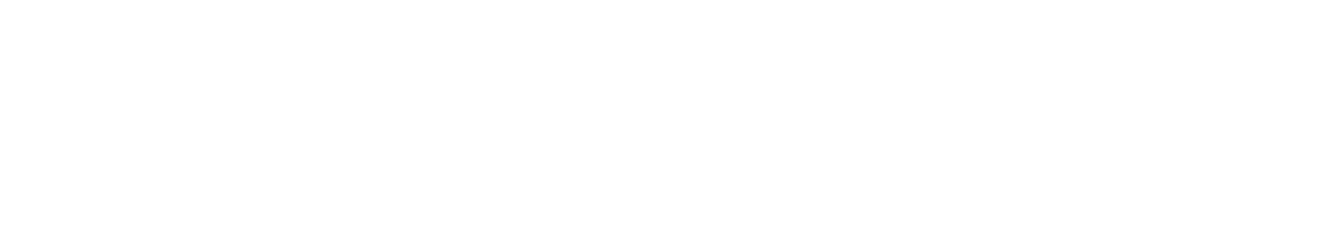 FULGOR online store