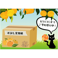 【通常購入より4割お得！温州みかん お試し定期便／9～1月毎月お届け】