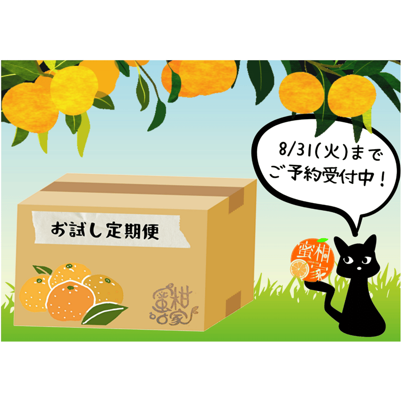 通常購入より4割お得！温州みかん お試し定期便／9～1月毎月お届け