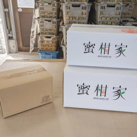 極早生みかん【日南*にちなん*】  2.5kg