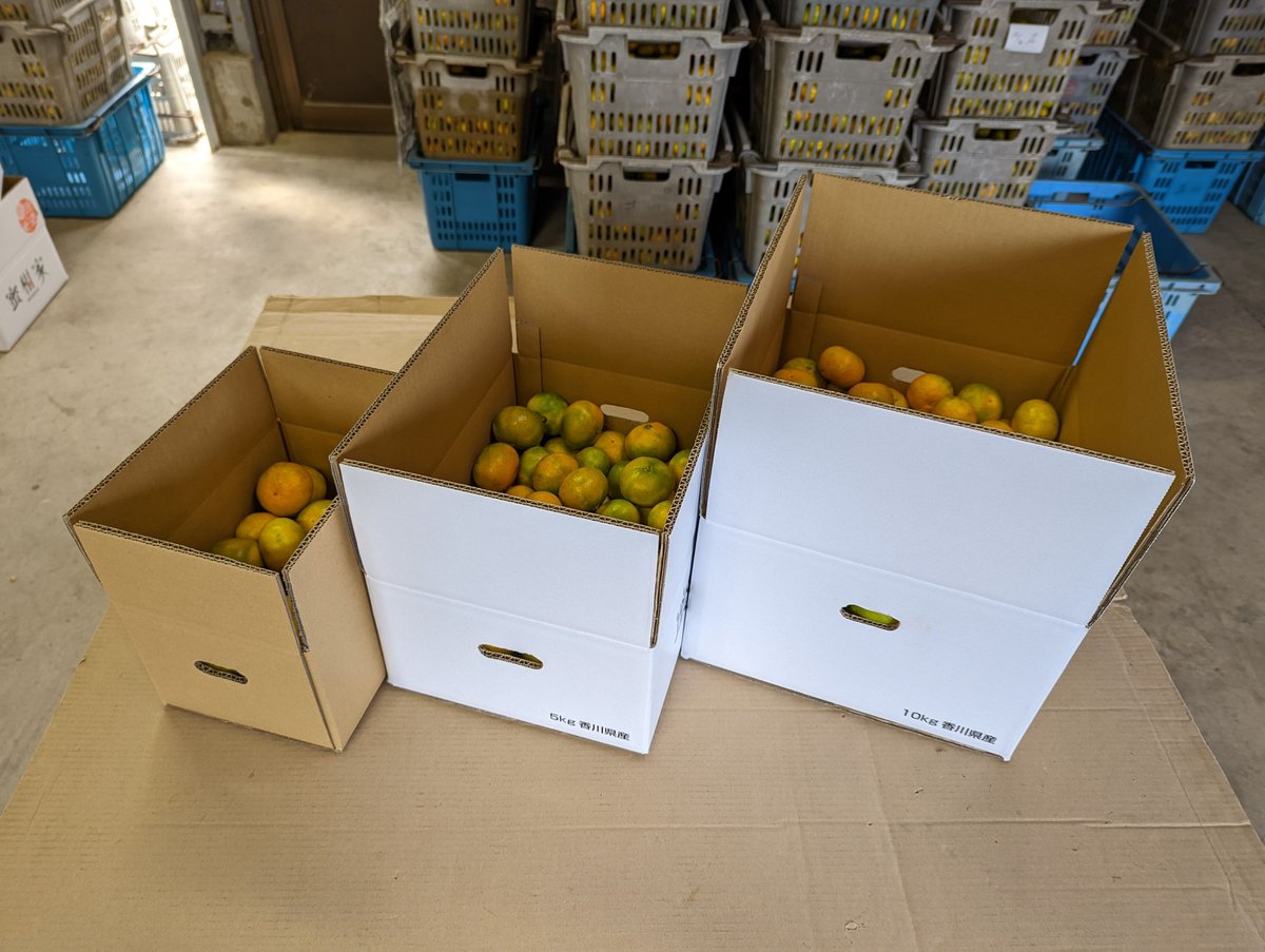 はな　★早生10kg＋南柑20号10kg　大きめのみかん　送料込み 極早生みかん【日南*にちなん*】 10㎏ | *蜜柑家*