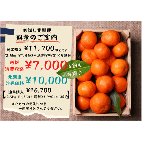 【通常購入より4割お得！温州みかん お試し定期便／9～1月毎月お届け】