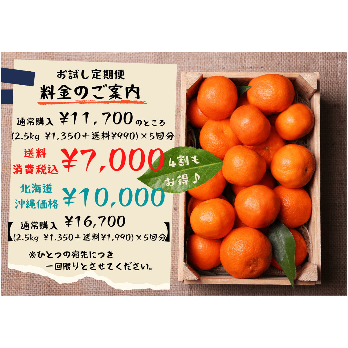 10kg程度　お得用　温州蜜柑　宮川早生　愛知県産 10kg程度 温州蜜柑 宮川早生 愛知県産 温州みかん・宮川早生| 種
