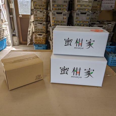 極早生みかん【日南*にちなん*】  5kg