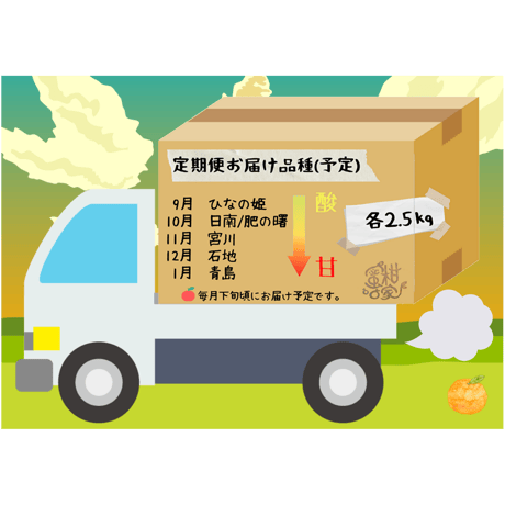 【通常購入より4割お得！温州みかん お試し定期便／9～1月毎月お届け】