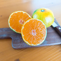 早生みかん【宮川*樹成り完熟】5kg | *蜜柑家*