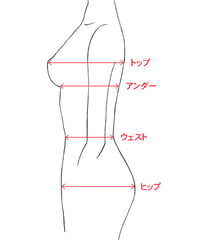 サイズ表