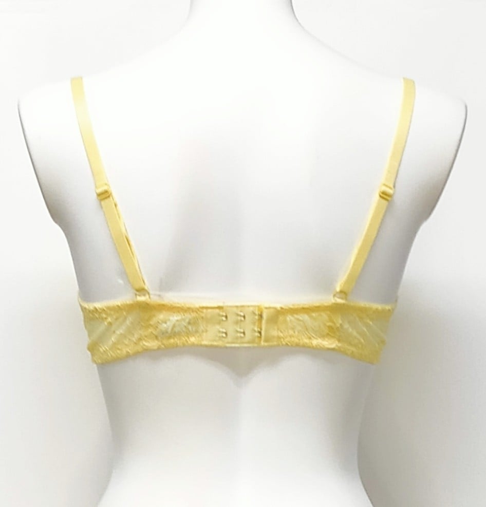 ランジェリーク】カプリチョーザ 3/4パデットブラ 日本企画