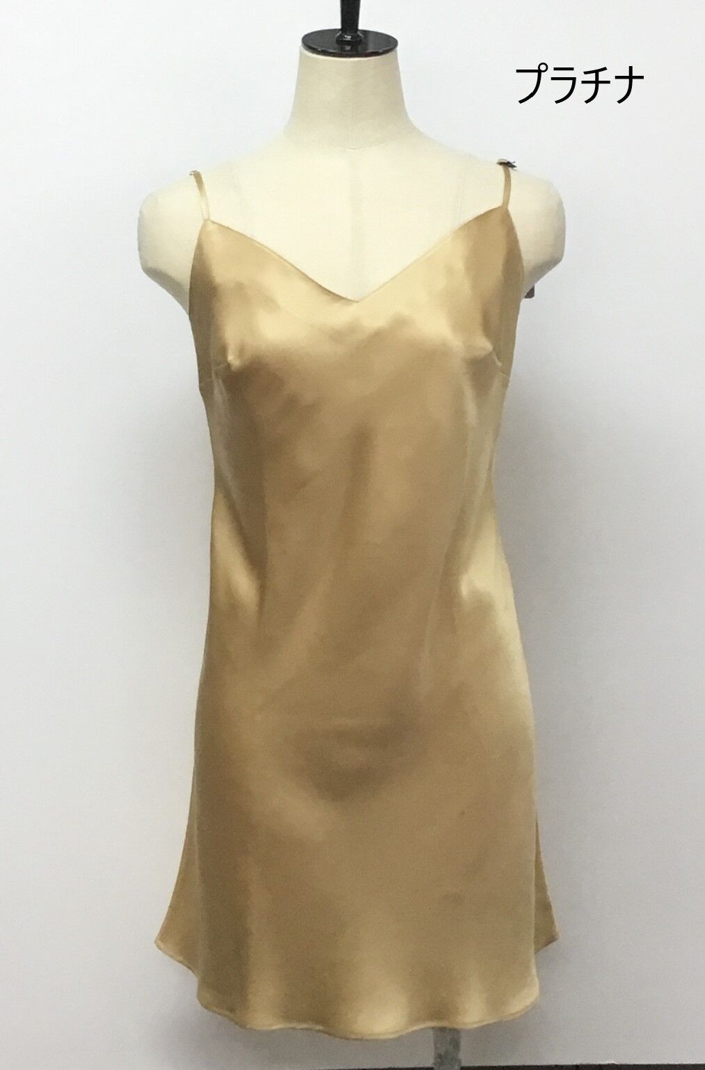 ブラジル産美麗ミズスマシ20mm17mm