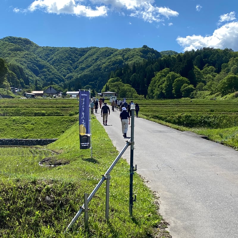 2025 白馬八方黒菱 おりがらみ | 【公式】白馬錦酒造オンライン