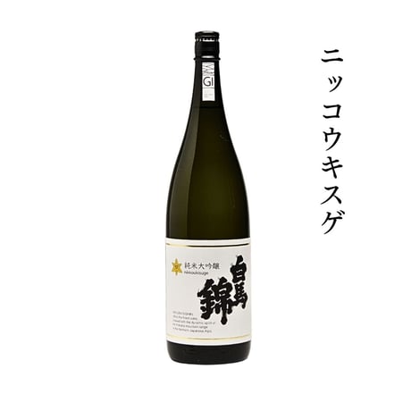 M*F様 734【上澳園芸】氷山白中斑 極上斑入り白中斑錦 鮮明錦 （永久斑）稀 M*F様 734【上澳園芸】氷山白中斑 極上斑入り白中斑錦 鮮明錦