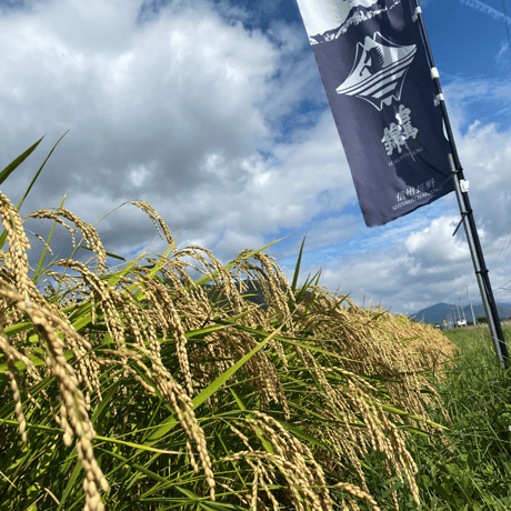 升升半升（ますますはんじょう）4.5L (受注生産品）