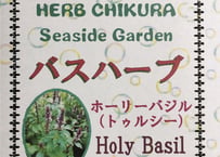 バスハーブ　ホーリーバジル（トゥルシー）