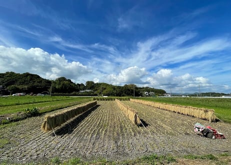 【NEW】農薬化学肥料不使用栽培天日干しのお米 2023年産　玄米15KG