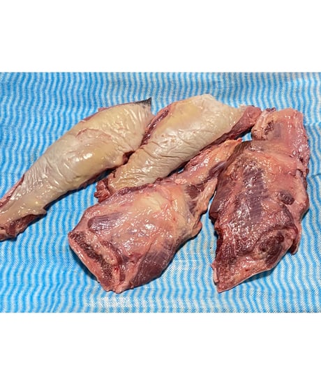 限定激安❣️幻の高級食材🌟高級品種の馬のくちびる🐴1キロパック🐶😍ウルトラレア商品♥️🌟🌟煮込んでプルプルでお食べください🎉とてもビックリ不思議なお味に出会えます😋美味しい🐶👩🌸