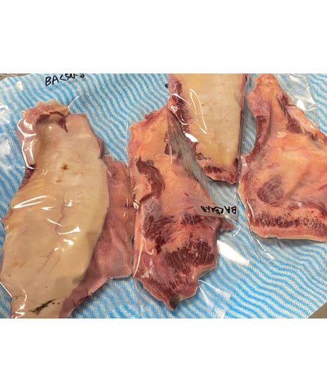 限定激安❣️幻の高級食材🌟高級品種の馬のくちびる🐴1キロパック🐶😍ウルトラレア商品♥️🌟🌟煮込んでプルプルでお食べください🎉とてもビックリ不思議なお味に出会えます😋美味しい🐶👩🌸