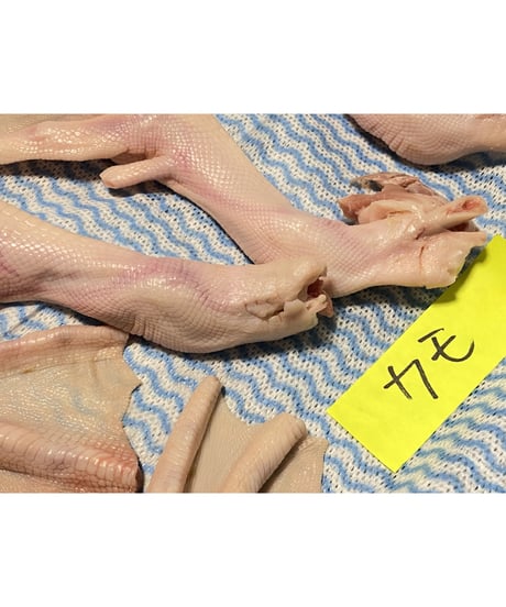 高級国産鴨✨幻の水かきもみじ🦆1キロ🐶😃これは貴重でレアですよね🎁ごはんでもおやつでも🐶👩🌸