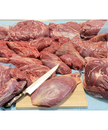 超レアレア⭐️国産馬肉🐴デリシャス・シチューミート🥩500グラム🐶😃煮込みでプルプルコラーゲンとお肉のコラボレーションが美味いッ⭐️シチュー専用ミート🎉めちゃいいお試しください🐶👩🌸