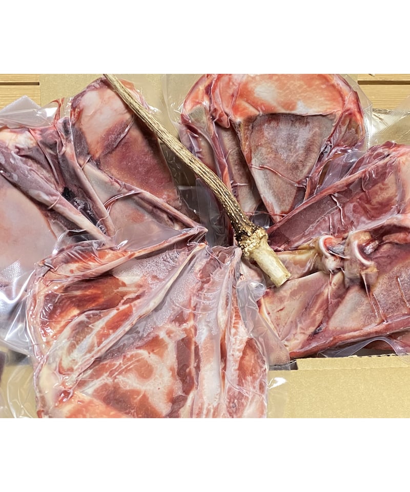 激安❣️厳選✨鹿さんの肩のひら軟骨の骨🦴一枚🐶😃大人気