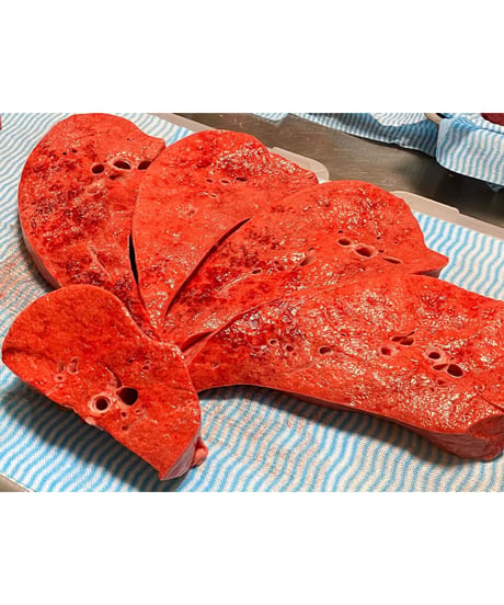 特選✨国産馬肉・馬肺デカミンチ🐴🥩200グラム🐶😃生食用✨生肉からのシングルフローズン🎉貴重過ぎです🌸