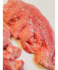 激安🎉バージョン2🦆超レア鴨肺🌸500g🐶😃サクサクジャーキーでどうぞ💡生でもごはんでも🌟とっても貴重🦆🦆🦆楽しみッ🐶👩🌸