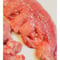 激安🎉バージョン2🦆超レア鴨肺🌸500g🐶😃サクサクジャーキーでどうぞ💡生でもごはんでも🌟とっても貴重🦆🦆🦆楽しみッ🐶👩🌸