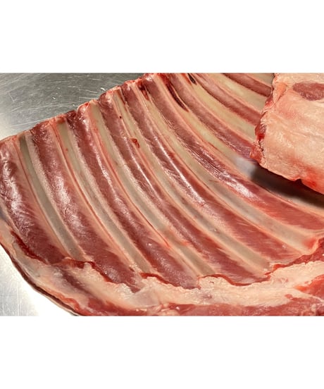 《お試し用サイズ》🎉旬の鹿さんの肉付きリブ🦌リブ1個🐶😃立派な肉付リブ👀バラ骨だけではなくお肉付き🙌うちのこどうかな〜👩🐶🌸ぜひお試しください😉最高の天然のオヤツです😊