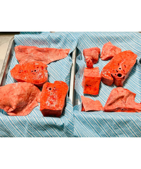 超ウルトラ特選✨幻の特別な国産馬肉・馬の肺🐴🥩200グラム以上🐶😃ごはん生食用🎉最高貴重過ぎです🌺gotogibierカット無添加の完全な安心をどうぞー⭐️楽しみッ🐶👩🌸
