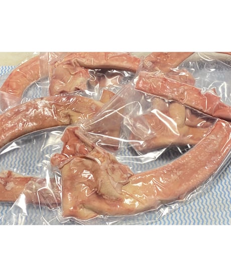本日のタイムセール🎀🎉馬肉・お刺身大動脈🐴500グラム､､､🐶😃🎉イベント商品🎀幻の珍味､､､✨最高です😍特別出品💕またの名を陸のあわび鮑🎉