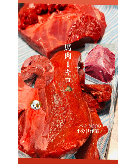 特選国産馬肉🐴かたまり馬肉🥩1キロパック🐶😃一応小分け🎉生肉からのシングルフローズン🌟基本的に軽種馬赤身品種脂はない🐶👩🌸