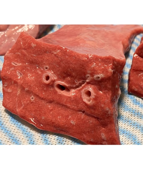 超ウルトラ特選✨幻の特別な国産馬肉・馬の肺🐴🥩200グラム以上🐶😃ごはん生食用🎉最高貴重過ぎです🌺gotogibierカット無添加の完全な安心をどうぞー⭐️楽しみッ🐶👩🌸