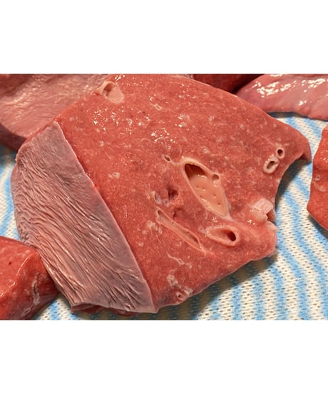 超ウルトラ特選✨幻の特別な国産馬肉・馬の肺🐴🥩200グラム以上🐶😃ごはん生食用🎉最高貴重過ぎです🌺gotogibierカット無添加の完全な安心をどうぞー⭐️楽しみッ🐶👩🌸