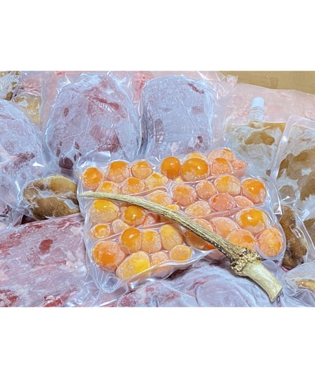 迷ったらこれ😋🐶新型⭐️⭐️季節のワンズおまかせセット🥩🎉10キロ箱🐶😃さらなるお得🉐と最高級✨のリーズナブルの満足を🐶👩🌸