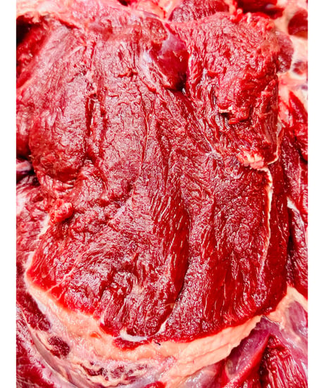 お得用㊗️特選✨伝説と幻のヒグマ肉🐻500g〜🐶😃ジビエの王様KINGoftheKING🤴ハンター間でしか取引きされない本物のlegend✨浪漫をお楽しみください🐶👩🌸