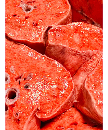 超ウルトラ特選✨幻の特別な国産馬肉・馬の肺🐴🥩200グラム以上🐶😃ごはん生食用🎉最高貴重過ぎです🌺gotogibierカット無添加の完全な安心をどうぞー⭐️楽しみッ🐶👩🌸