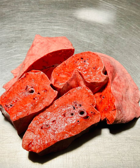 超ウルトラ特選✨幻の特別な国産馬肉・馬の肺🐴🥩200グラム以上🐶😃ごはん生食用🎉最高貴重過ぎです🌺gotogibierカット無添加の完全な安心をどうぞー⭐️楽しみッ🐶👩🌸