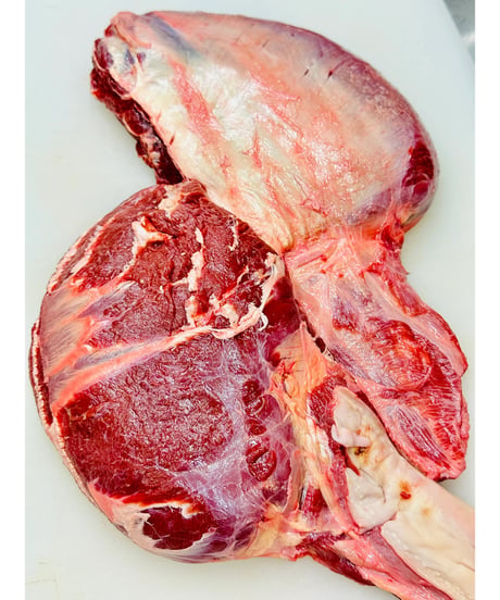 超レアレア⭐️国産馬肉🐴デリシャス・シチューミート🥩500グラム🐶😃煮込みでプルプルコラーゲンとお肉のコラボレーションが美味いッ⭐️シチュー専用ミート🎉めちゃいいお試しください🐶👩🌸