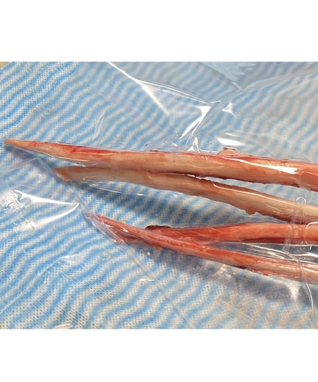 超特選おやつ🐴重種馬バラ軟骨🦴500g🐶😃とても柔らかい骨✨大きいものでも軟骨🌸かみごたえがあるタイプを多くまとめました✨中型大型のお子様向けに良さそうです💡バリボリ楽しみです🐶👩🎉