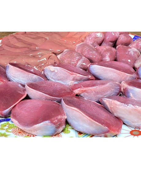 厳選国産カモ・ズリ🦆🌟500グラム愛情パック🎉🐶😃大人気グルメなお味&最高級の喜び 💫💫