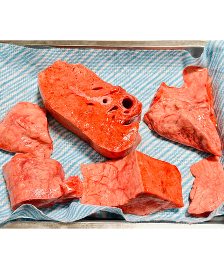 超ウルトラ特選✨幻の特別な国産馬肉・馬の肺🐴🥩200グラム以上🐶😃ごはん生食用🎉最高貴重過ぎです🌺gotogibierカット無添加の完全な安心をどうぞー⭐️楽しみッ🐶👩🌸