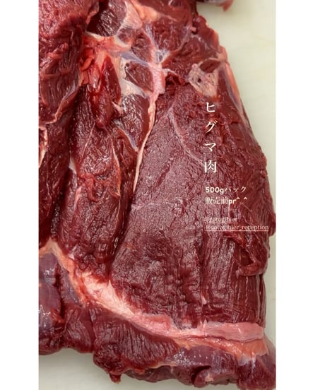 お得用㊗️特選✨伝説と幻のヒグマ肉🐻500g〜🐶😃ジビエの王様KINGoftheKING🤴ハンター間でしか取引きされない本物のlegend✨浪漫をお楽しみください🐶👩🌸
