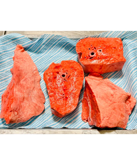 超ウルトラ特選✨幻の特別な国産馬肉・馬の肺🐴🥩200グラム以上🐶😃ごはん生食用🎉最高貴重過ぎです🌺gotogibierカット無添加の完全な安心をどうぞー⭐️楽しみッ🐶👩🌸