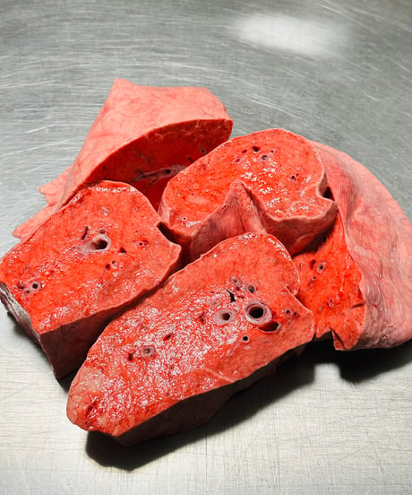 超ウルトラ特選✨幻の特別な国産馬肉・馬の肺🐴🥩200グラム以上🐶😃ごはん生食用🎉最高貴重過ぎです🌺gotogibierカット無添加の完全な安心をどうぞー⭐️楽しみッ🐶👩🌸