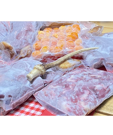 迷ったらこれ😋🐶新型⭐️⭐️季節のワンズおまかせセット🥩🎉10キロ箱🐶😃さらなるお得🉐と最高級✨のリーズナブルの満足を🐶👩🌸