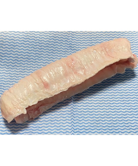 レアレア商品🌸🌸のど軟骨🐴🐶😃とても重要な栄養食品🌸軟骨は健康にとても大切みたいです🐶👩🌸超希少部位の為数量に限りがあります　お早めにお求めくださいませ🤗