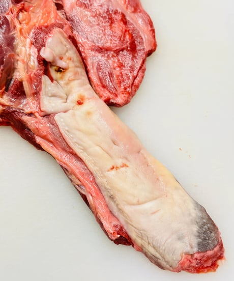 超レアレア⭐️国産馬肉🐴デリシャス・シチューミート🥩500グラム🐶😃煮込みでプルプルコラーゲンとお肉のコラボレーションが美味いッ⭐️シチュー専用ミート🎉めちゃいいお試しください🐶👩🌸