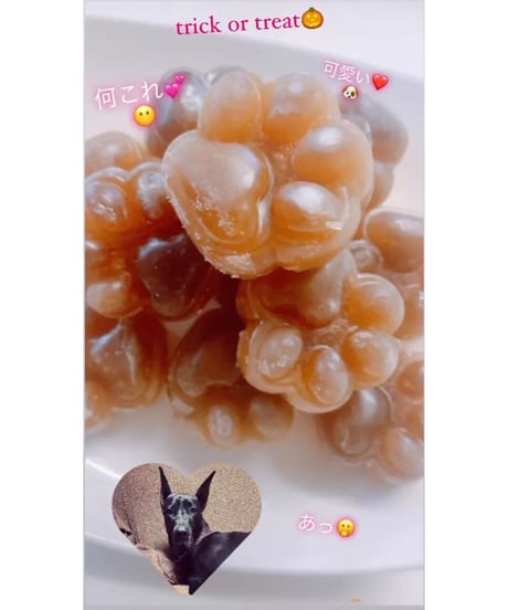 タイムセール🎉スペシャルな鹿さんの🦌伝説のボーンブロス✨200グラム🐶😃史上最高の薬膳ブロス🎃健康に美味いッ🌸これがあるのとないのではかわる気がしますよね🤔お楽しみください🐶👩