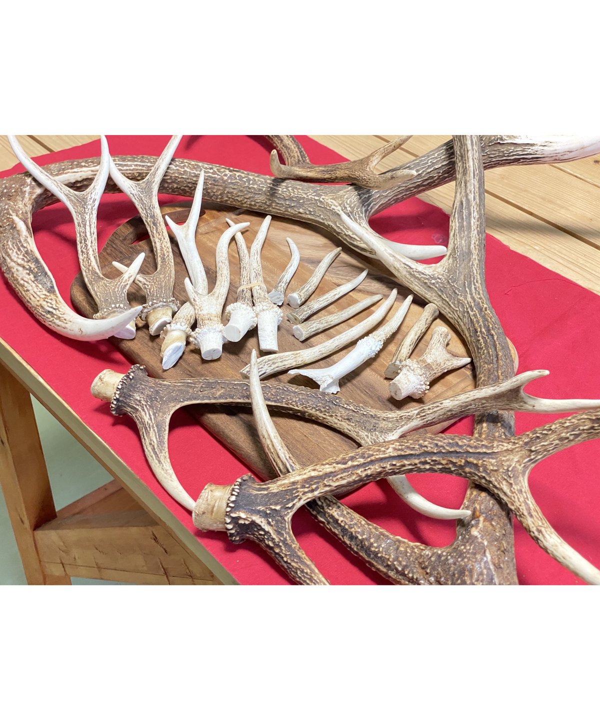 鹿の角 11本 3.9キロ 【公式通販】